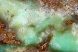 Polished Green Chrysoprase Slab - Western Australia #364234-1